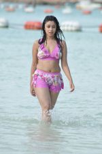 Payal Ghosh (Harika) in Bikini Swimwear Photoshoot on 30th May 2010 (112).JPG